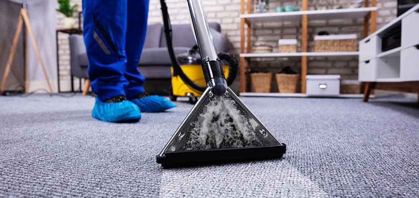 Professional Carpet Cleaning - Useless Or Alive?