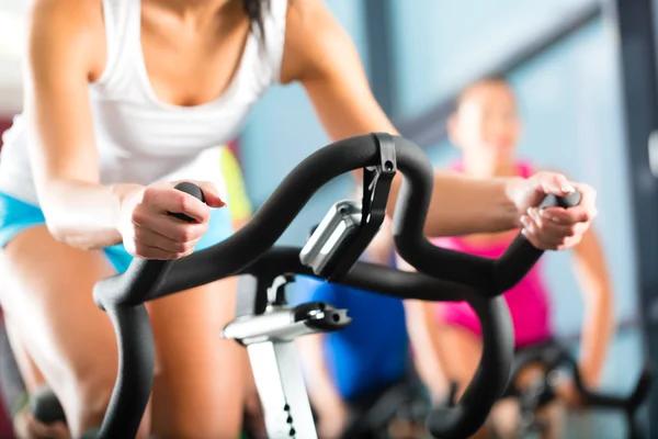 How Fitness Gyms Can Transform Your Workout Routine