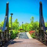 Smart Ways to Book Dusit Hotel Based on Updated 2026 Travel Info