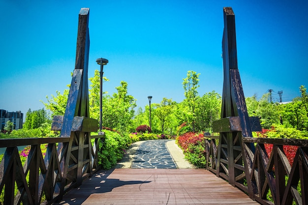 Smart Ways to Book Dusit Hotel Based on Updated 2026 Travel Info