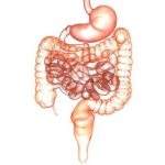 When to Consult a Gastroenterologist vs. a General Physician