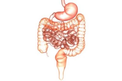 When to Consult a Gastroenterologist vs. a General Physician