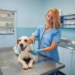 How to Extend the Life of Your Water Heater