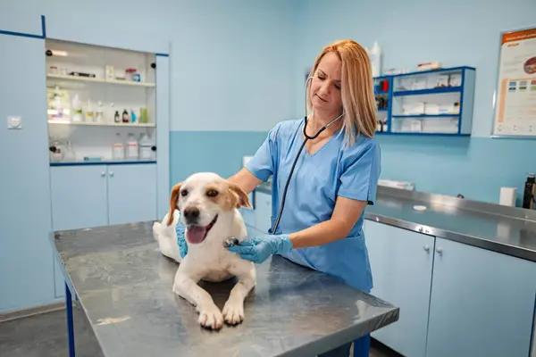 How to Extend the Life of Your Water Heater