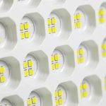 Gentle Pet Grooming in Port St. Lucie for Anxious Pets