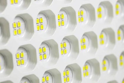 Gentle Pet Grooming in Port St. Lucie for Anxious Pets