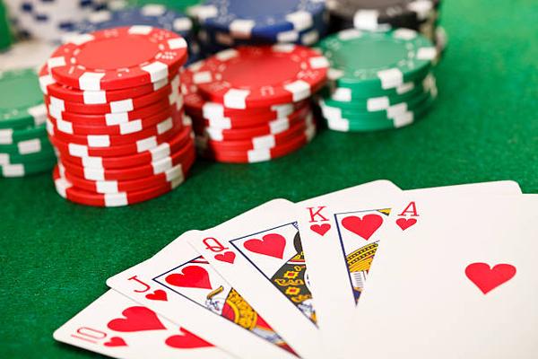 Exploring the Main Categories of Online Casino Platforms